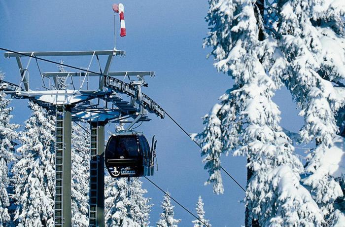 Aparthaus Birkenheim Filzmoos Exteriör bild