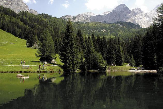Aparthaus Birkenheim Filzmoos Exteriör bild